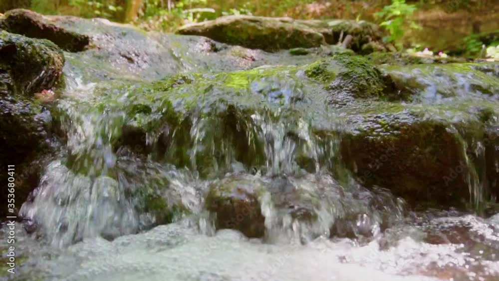 Tracking Shot Mountain Stream in lush woodland,slow motion footage
Tracking Shot Mountain Stream in lush woodland,slow motion footage