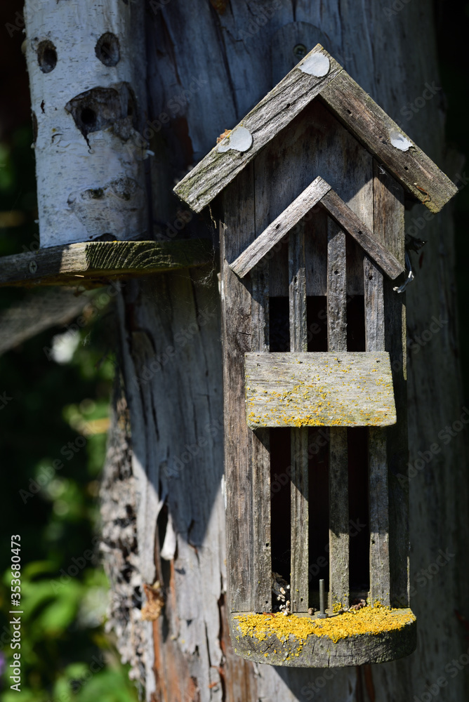 A weathered little house for insects hangs on a tree trunk in nature A weathered little house for insects hangs on a tree trunk in nature