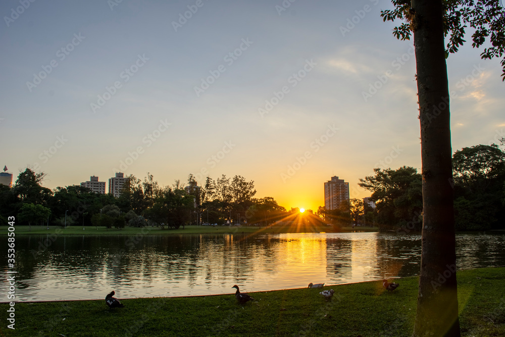 Fototapeta premium sunset 
