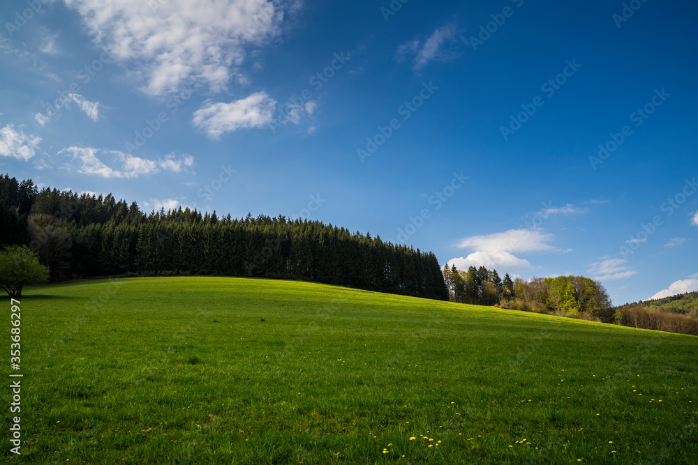 Germany, Beautiful green meadow and trees at the edge of the forest of black forest nature landscape with moving clouds Germany, Beautiful green meadow and trees at the edge of the forest of black forest nature landscape with moving clouds