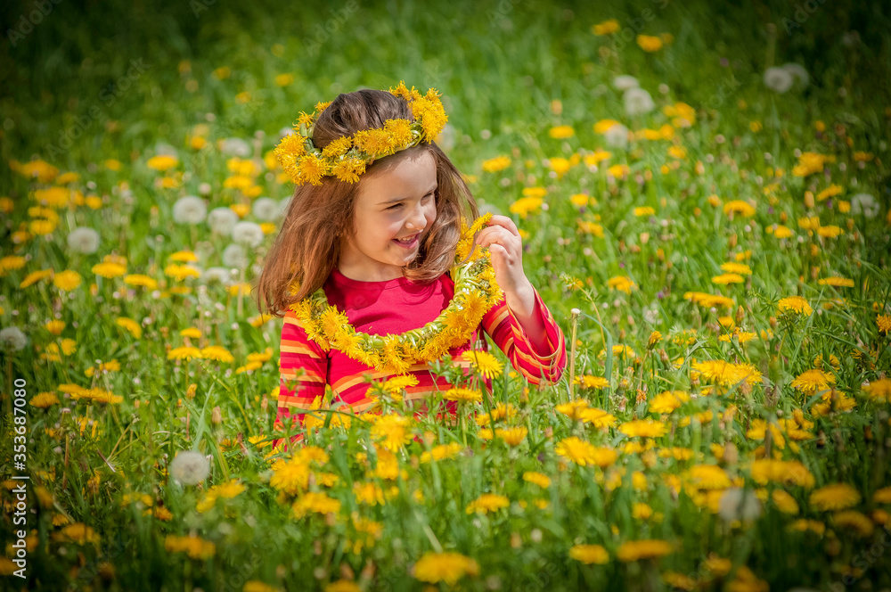 girl on a field of flowers girl on a field of flowers