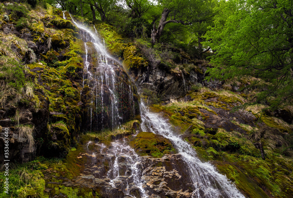 Small waterfall in the forest. El Chalten, Santa Cruz, Argentina Small waterfall in the forest. El Chalten, Santa Cruz, Argentina