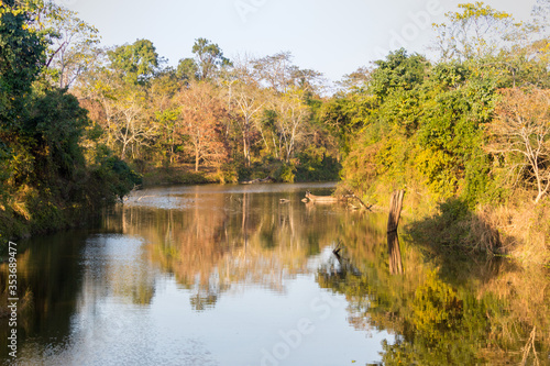River passes quietly through lush green tropical forest of Kaziranga National Park. A reflection of the surrounding trees with yellow green leaves in the river gives an impression of a huge mirror. 