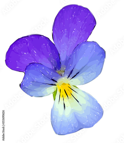 Vector illustration of violet flower isolated on white background. Violet bloom with black outline and yellow and green middle. 