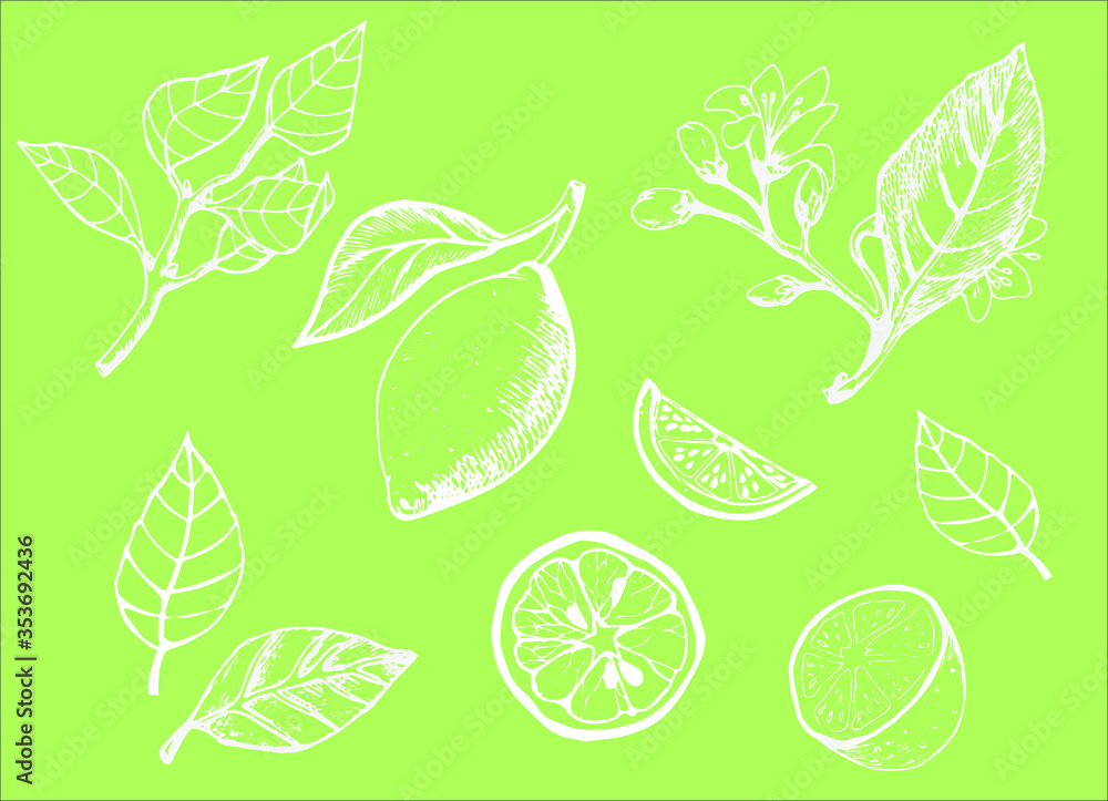 pattern with lemons for fabric and paper pattern with lemons for fabric and paper