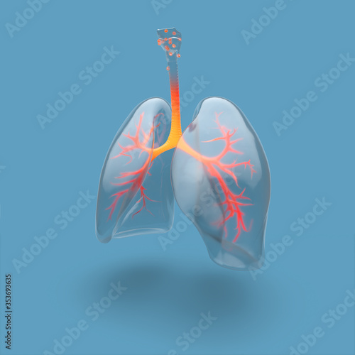 Illustration of human lungs and bronchial tree highlighted, on blue background photo