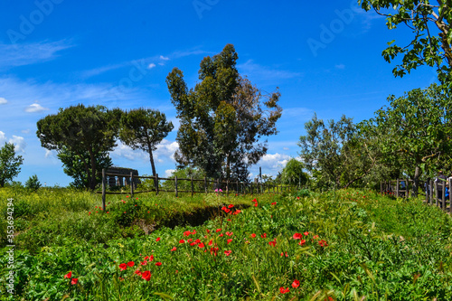 Roman suburb field landscape