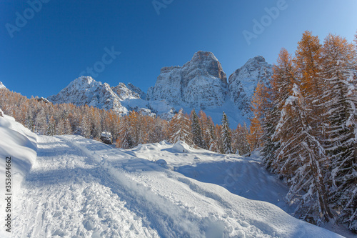 Snowy path with orange larches and Mount Pelmo northern side in the background, Dolomites, Italy. Concept: winter landscapes, Christmas atmosphere, winter travel, calm and serenity