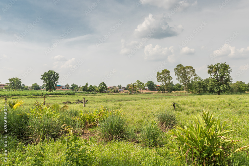 Farming landscape, at the province of Nakhon Ratchasima
