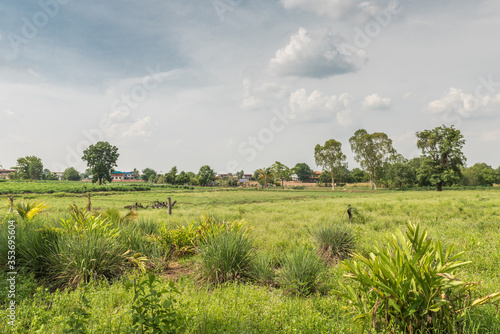 Farming landscape  at the province of Nakhon Ratchasima