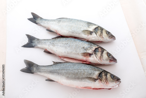 Sea bass with white background