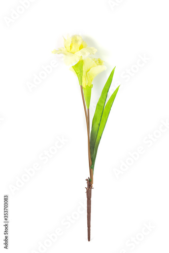 Beautiful artificial iris flower