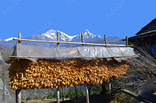 Nepali traditional corn cobe store with beautiful annapurna himalaya in the background. photo