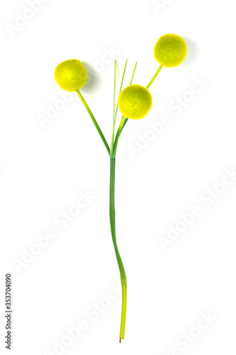 Beautiful artificial flower