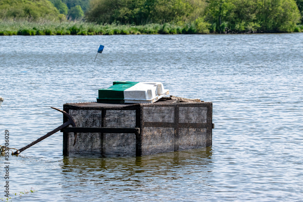 Obraz premium A fish trap in the lake of grand lieu,Loire Atlantique,France.