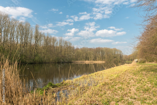 the Amsterdam forest