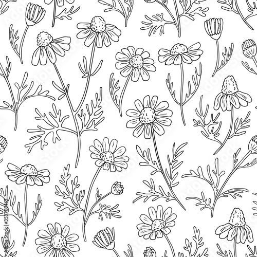 Hand drawn seamless vector pattern with chamomile flowers. Ink daisy with black doodle stroke on a white background. Perfect for home textile and paper