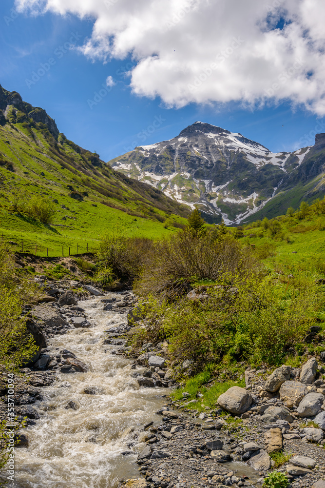 Swiss landscape with creek stream Swiss landscape with creek stream
