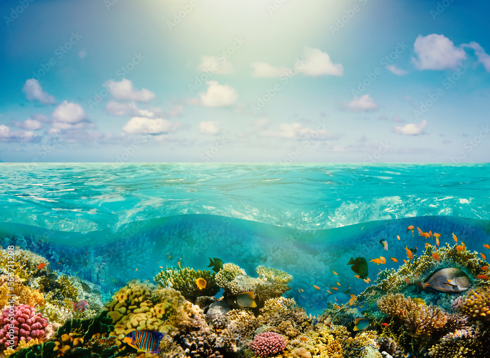 Beautiful sunny tropical beach on the island paradise in the middle of the sea Beautiful sunny tropical beach on the island paradise in the middle of the sea