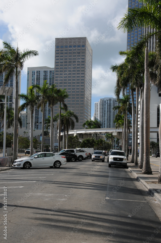 City landscape. Skyscrapers, palm trees in perspective on a background of blue sky in an exotic country. Close-up. Exterior Elements