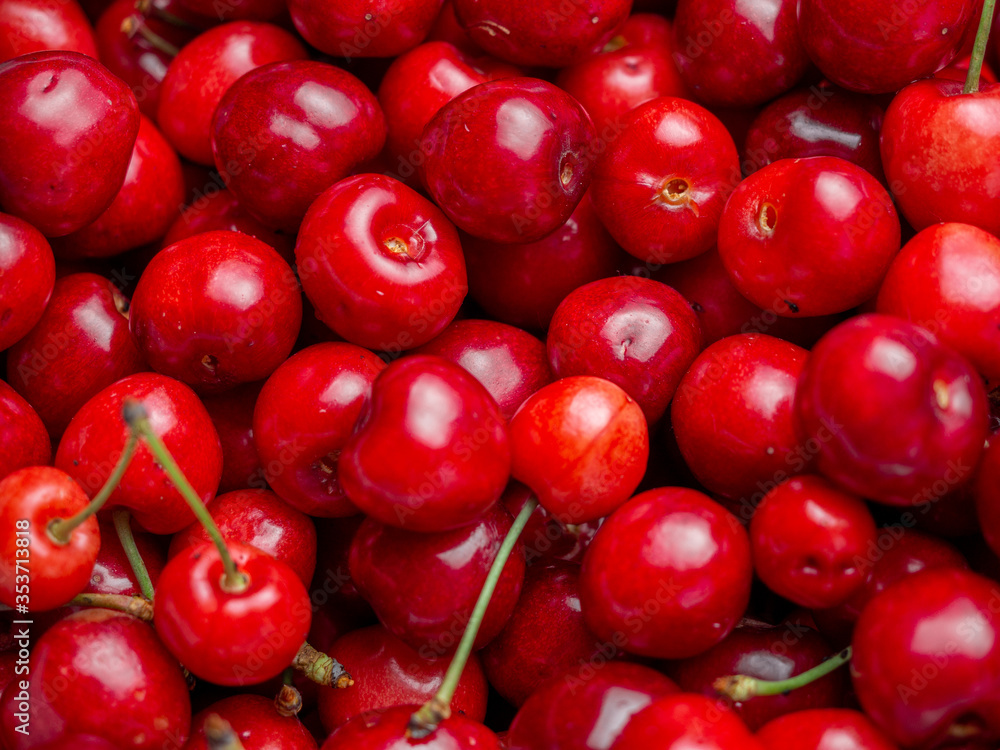 Harvest of red delicious sweet cherry closeup Harvest of red delicious sweet cherry closeup