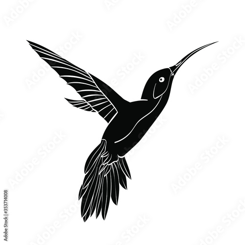 Flat vector icon of colibri on white background. Isolated logo for your design 