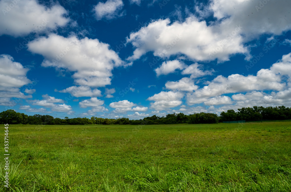 Hay field