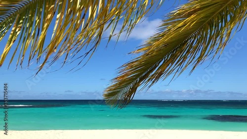 Palm tree leaf swing with Caribbean Sea in background photo