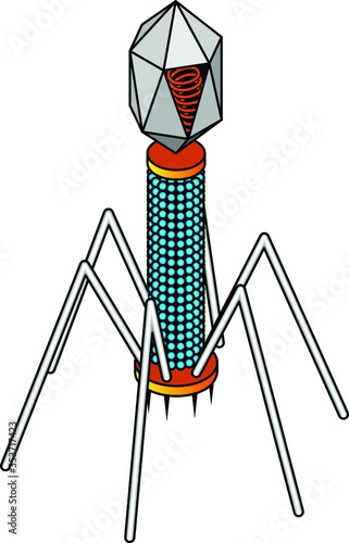 Virus anatomy: A complex bacteriophage T4 with a 20-sided isocahedral head, tail sheath, tail fibers, and pins.