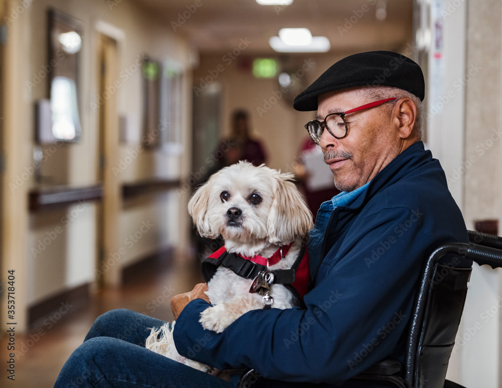 Senior man holding dog in wheelchair Senior man holding dog in wheelchair