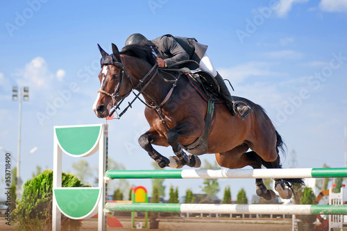 Equestrian sport: Rider on bay horse in jumping show