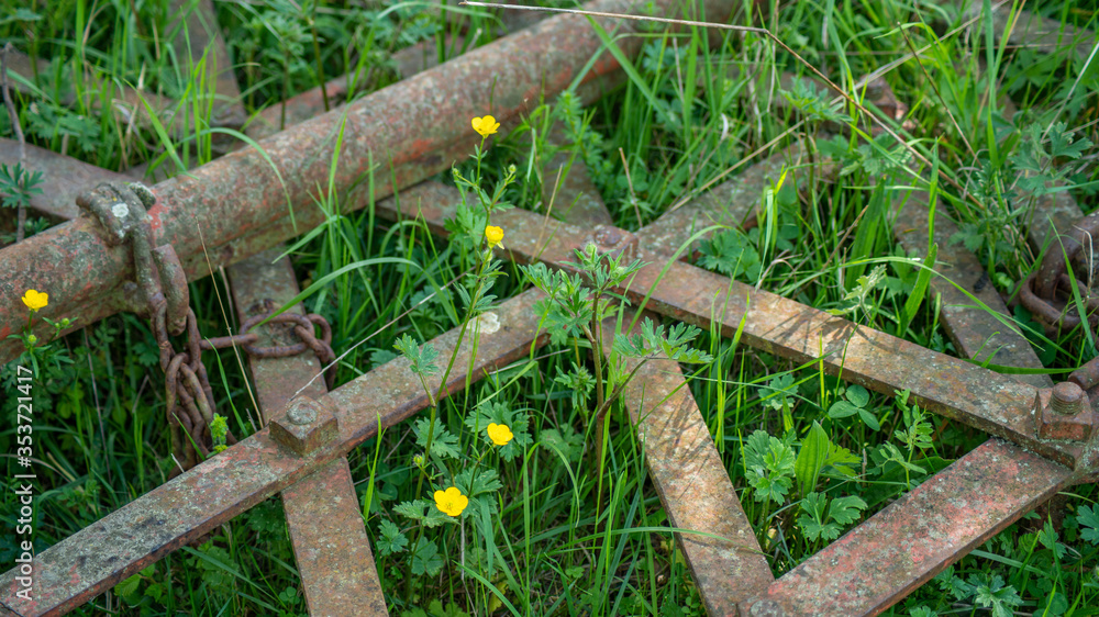 Close-up on an old rusty metal agricultural implement lying in the wild grass
Close-up on an old rusty metal agricultural implement lying in the wild grass