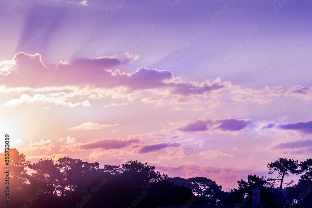 Beautiful with purple rose sunrise cloud on light background. Outdoor landscape. Blue background. Panorama view. Beautiful with purple rose sunrise cloud on light background. Outdoor landscape. Blue background. Panorama view.