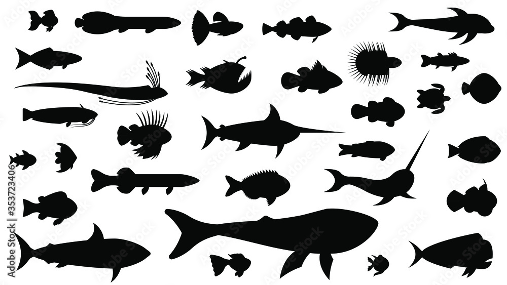Set Black Fish Silhouette Vector Collection Design Elements Water Marine Set Black Fish Silhouette Vector Collection Design Elements Water Marine