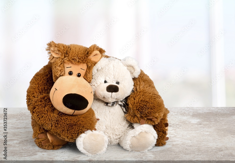 Obraz premium Teddy.