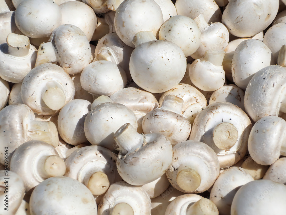 Fresh white mushrooms at the street market. Fresh white mushrooms at the street market.