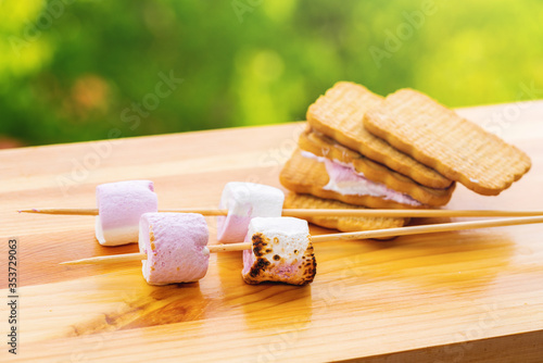 Cookies and marshmallows on skewers fried on a fire on a background of nature photo