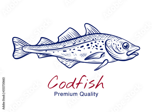 Vector sketch illustration of fresh codfish fish drawing isolated on white. Engraved style. natural business. Vintage, retro  object for menu, label, recipe, product packaging