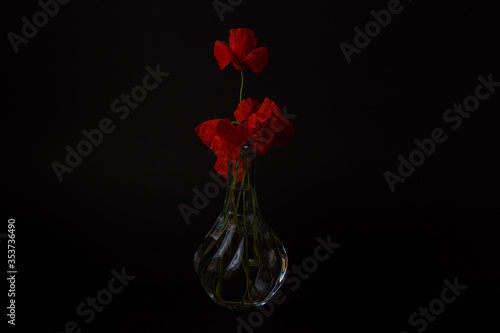 vaso de flores rojas naturales sobre fondo negro