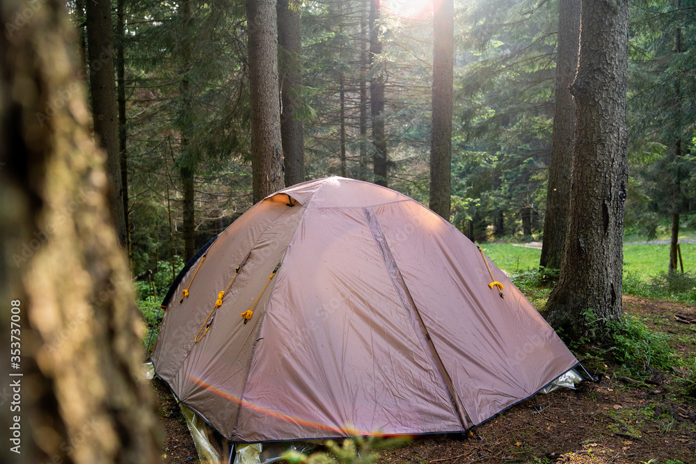 Camping and tent under the pine forest with beautiful sunlight in the morning. Concept equipment for adventure and travel. tourist tent camping in mountains concept