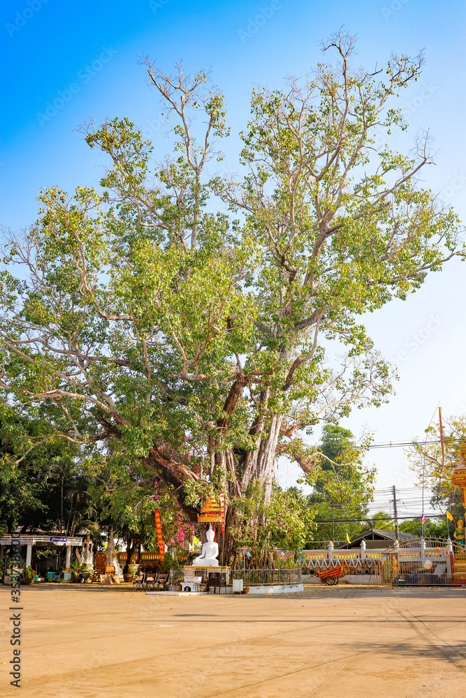 Obraz premium A beautiful view of Nong Khai city at Thailand.