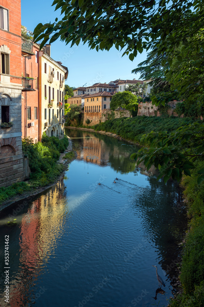 A short distance from Piazza dei Signori, the Retrone river passes under Ponte San Paolo. The buildings are reflected in the dark blue water. A gray heron immobile on the shore. Vicenza, Italy.