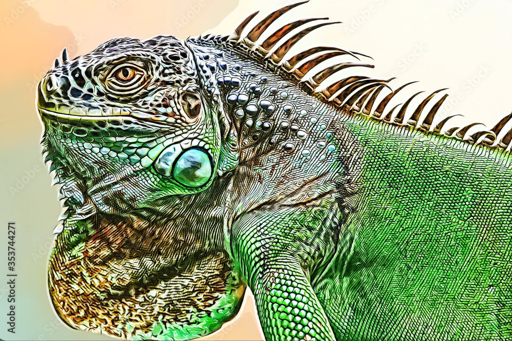 A big iguana lizard on green background. A big iguana lizard on green background.