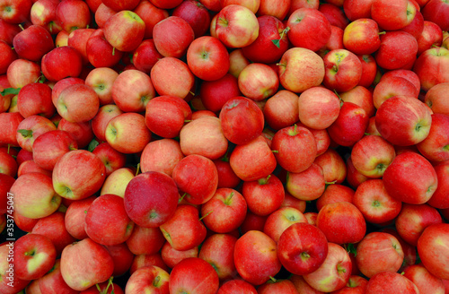 Red Gala apples fresh fruit produce background