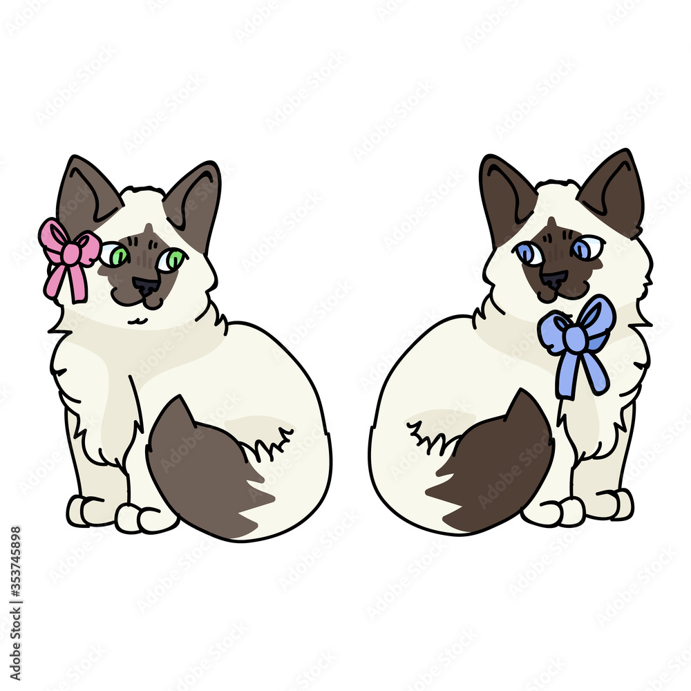 Cute cartoon Ragdoll kitten boy and girl cat vector clipart. Pedigree kitty  breed for cat lovers. Purebred kitten gender bow for pet parlor with bow.  Feline illustration EPS 10. Stock Vector