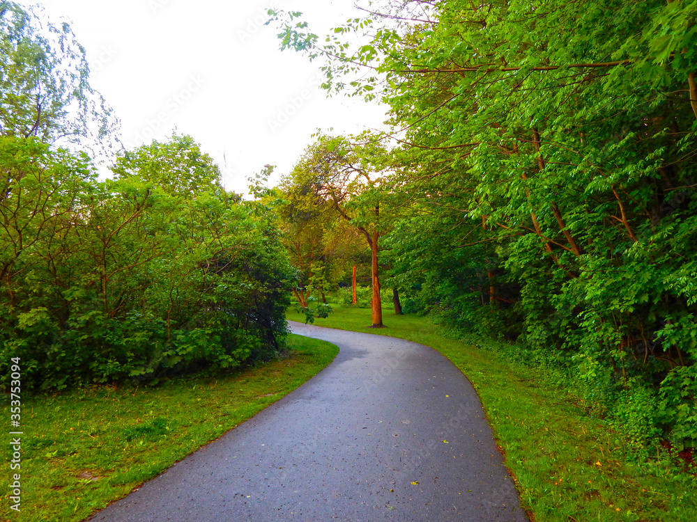 View of a park trail 