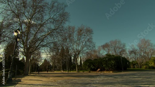 Lockdown shot of trees growing in park against sky - Madrid, Portugal photo