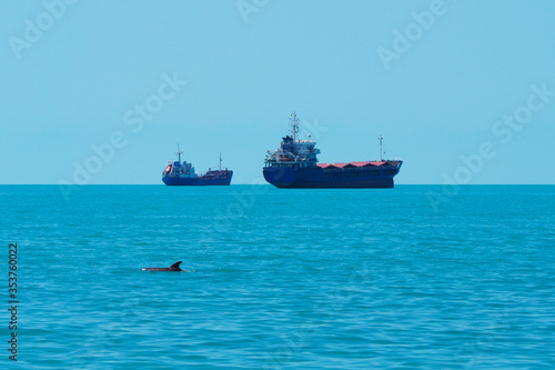Sea horizon, swimming dolphin and ships in the sea