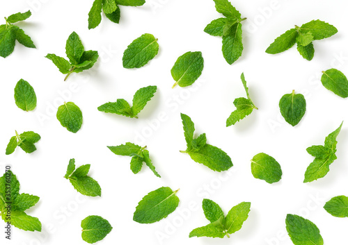 A lot of mint leaves on a white background