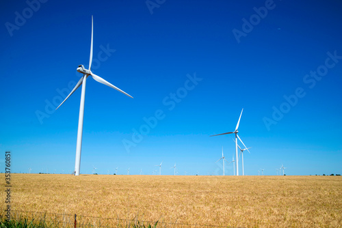 wind turbines in a field of wheat